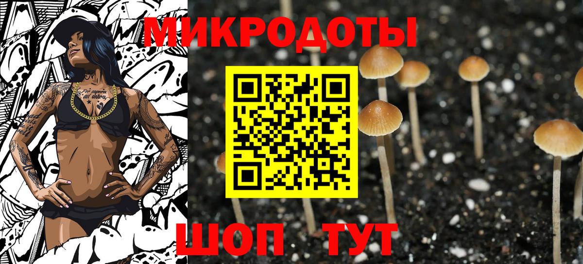 Псилоцибиновые грибы прущие грибы Похвистнево