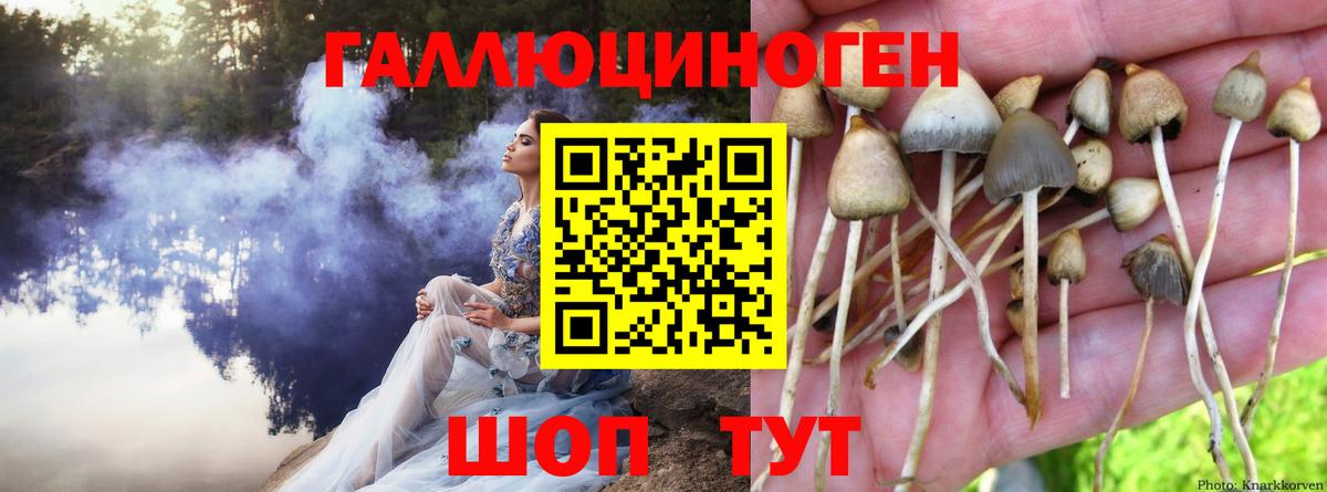 Похвистнево  Псилоцибиновые грибы ЛСД  продажа наркотиков  Вход с VPN 